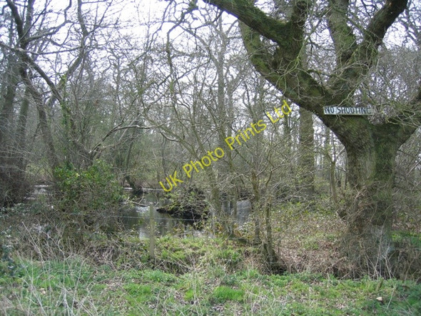 Photo 6"x4" Small Lake in Hoofield Covert Clotton c2007