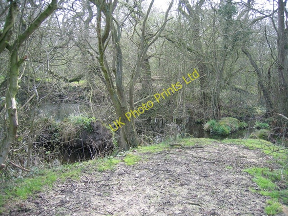 Photo 6"x4" Hoofield  Covert Clotton c2007