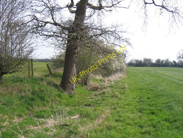 Photo 6"x4" Parish Boundary near Hoofield Covert Brassey Green c2007