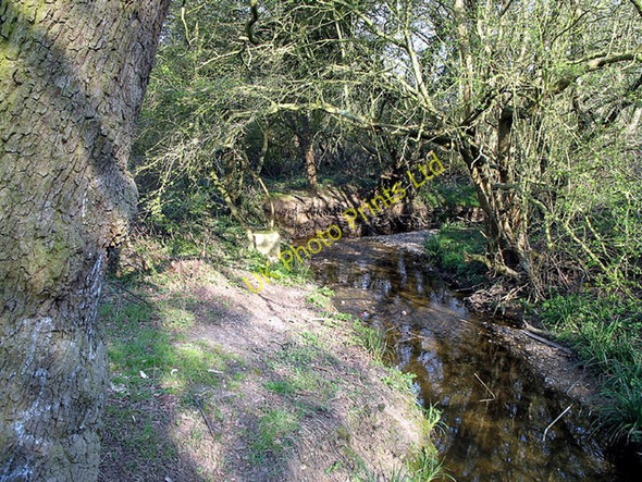 Photo 6"x4" Dollis Brook Barnet c2007