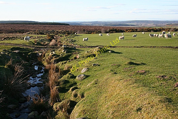 Photo 6"x4" Burn of Bardon Kellas\/NJ1754 c2007