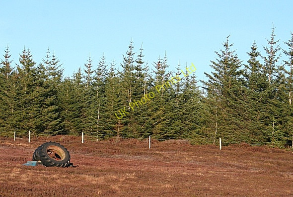 Photo 6"x4" Pikey Hill Pikey Hill c2007 P1