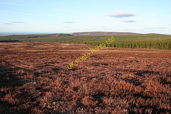 Photo 6"x4" Hill of Bodangear Pikey Hill c2007