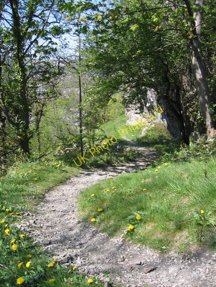 Photo 6"x4" Footpath on Castlebergh, Settle Settle c2007