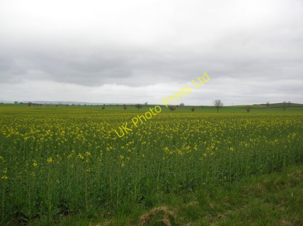 Photo 6"x4" Myton Moor Myton Hall c2007