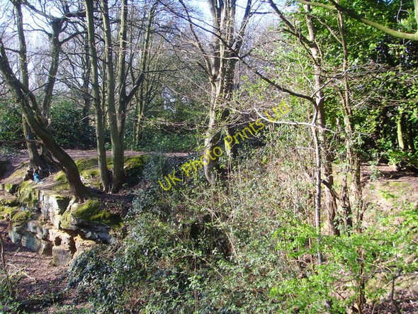 Photo 6"x4" Woodlands with Sandstone outcrop Kingswood Common\/SJ8402 c2007