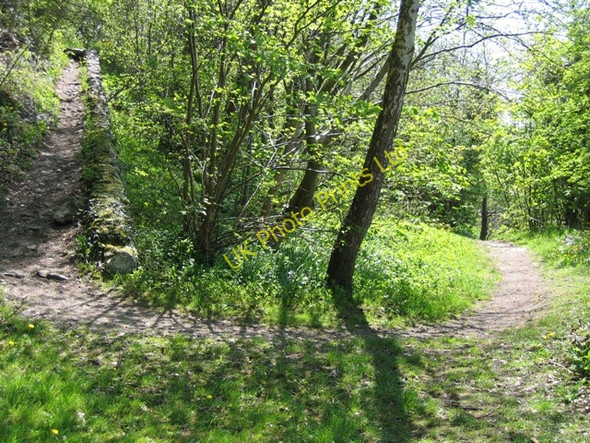 Photo 6"x4" Footpath on Castlebergh Settle c2007
