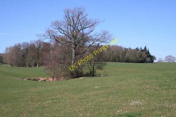 Photo 6"x4" Pond near Putson Coppice Little Marcle c2007