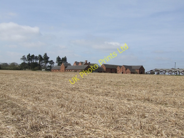 Photo 6"x4" Wilbrighton Hall Bromstead Common c2007