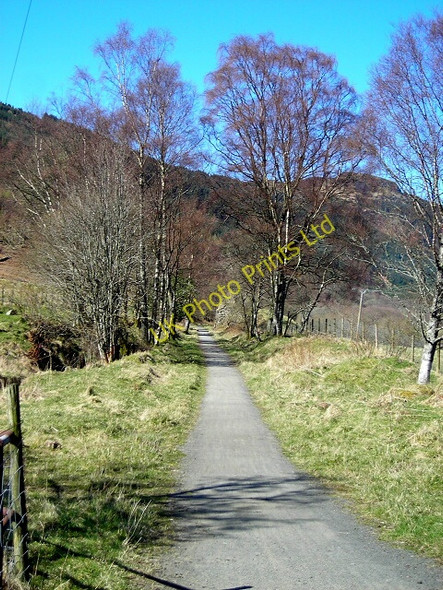 Photo 6"x4" Callander to Strathyre Cycle Route Ardchullarie More c2007 P1
