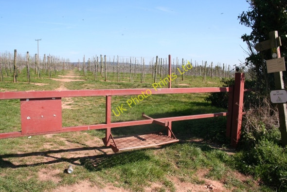 Photo 6"x4" Stile on a Gate, New Orchards near Flights Farm Ledbury c2007