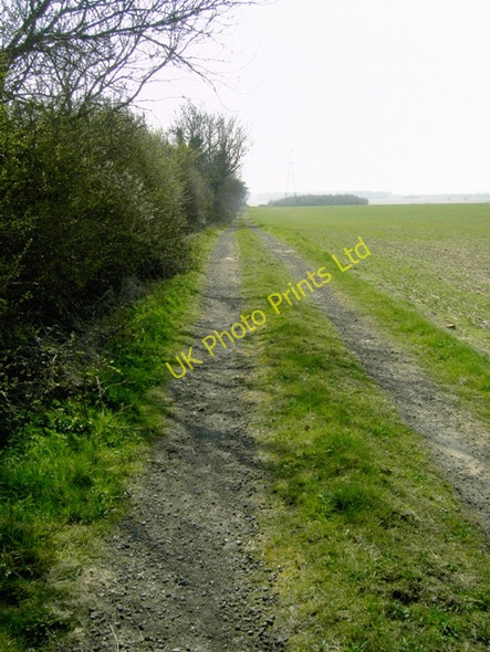 Photo 6"x4" Farm road near Streatley Lower Sundon c2007