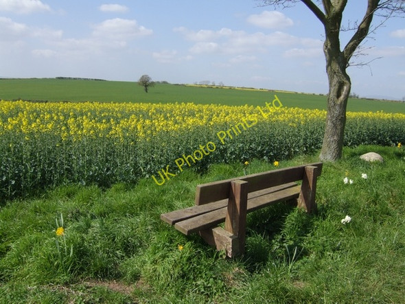 Photo 6"x4" Pleasant seat Chesterton\/SO7897 c2007