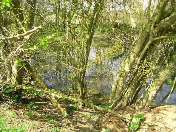 Photo 6"x4" Small Pond Thornton\/SP7535 c2007