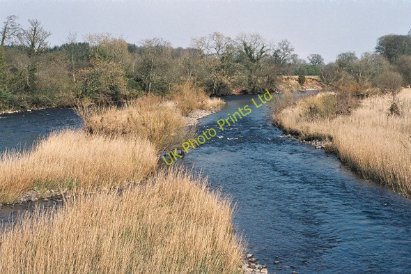 Photo 6"x4" Reedbeds in the Annan, from Mainholme Bridge Middleshaw\/NY1475 c2007