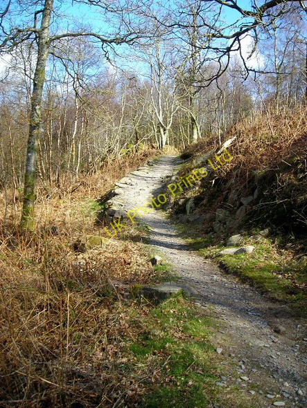 Photo 6"x4" Cycle Trail in Dalbeattie Forest Palnackie c2007 P1