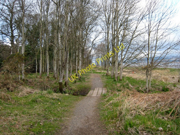 Photo 6"x4" Pathway at Ardmore Point Kelhurn c2007