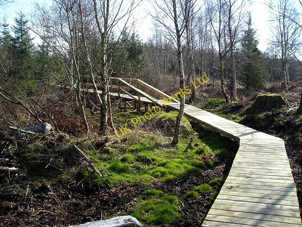Photo 6"x4" Cycle Trail in Dalbeattie Forest Palnackie c2007