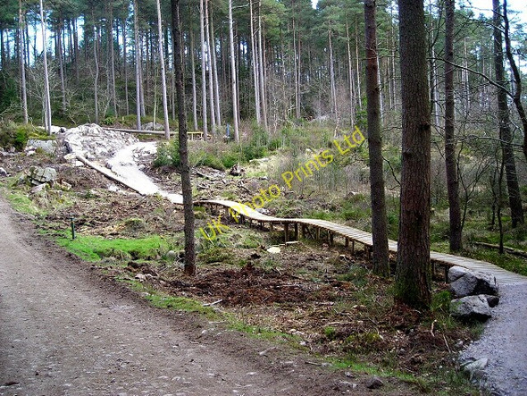 Photo 6"x4" Cycle Trail in Dalbeattie Forest Dalbeattie c2007
