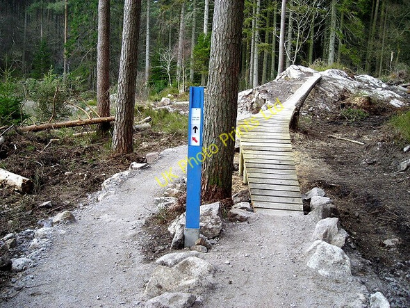 Photo 6"x4" Cycle Trail in Dalbeattie Forest Dalbeattie c2007 P1