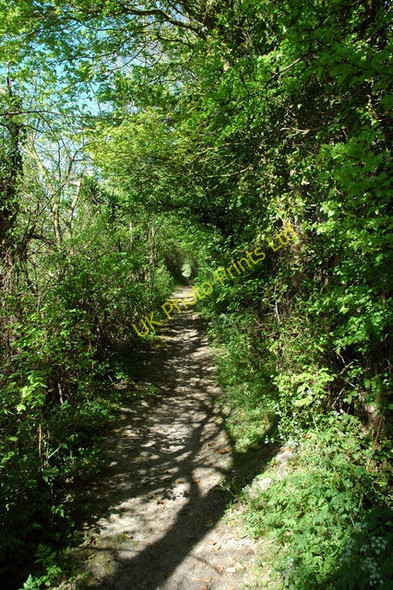 Photo 6"x4" Green lane Bassingbourn c2007