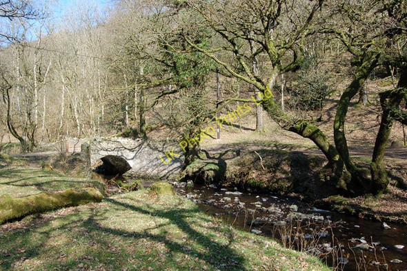 Photo 6"x4" Pool Bridge -in early  April Doverhay c2007