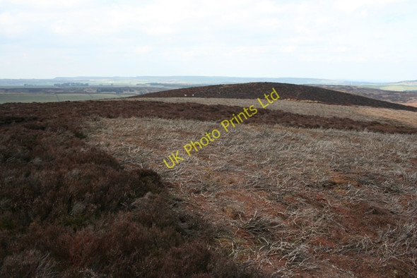 Photo 6"x4" Bradshaw Hill Upper Midhope c2007
