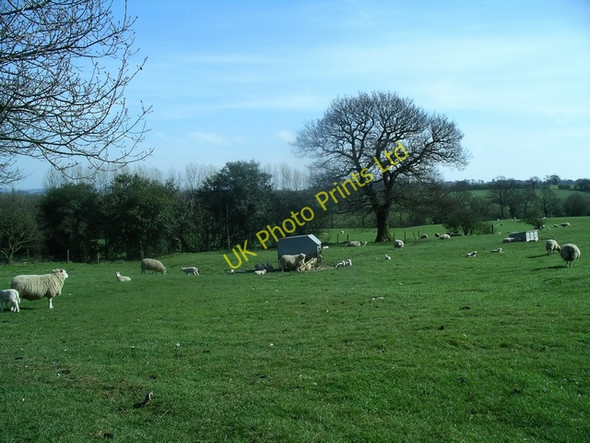 Photo 6"x4" Farmland near Ticknall Southwood\/SK3521 c2007