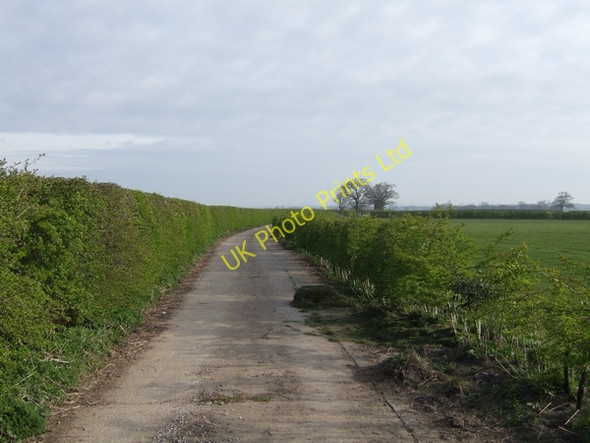 Photo 6"x4" Bridleway to Hawkshutts Coldham\/SJ8508 c2007