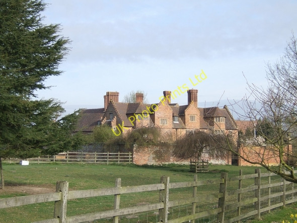 Photo 6"x4" Black Ladies Priory Bishops Wood c2007