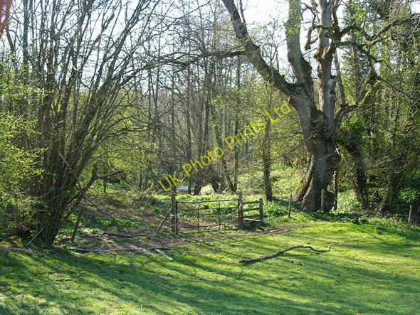 Photo 6"x4" Path to brook Coppicegate c2007