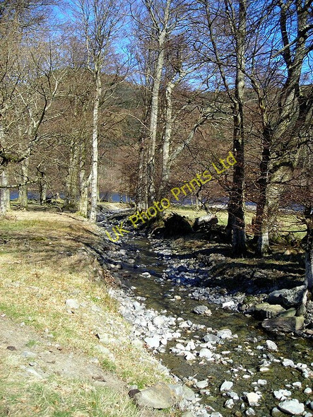 Photo 6"x4" Allt Mor Near Laggan Ardchullarie More c2007