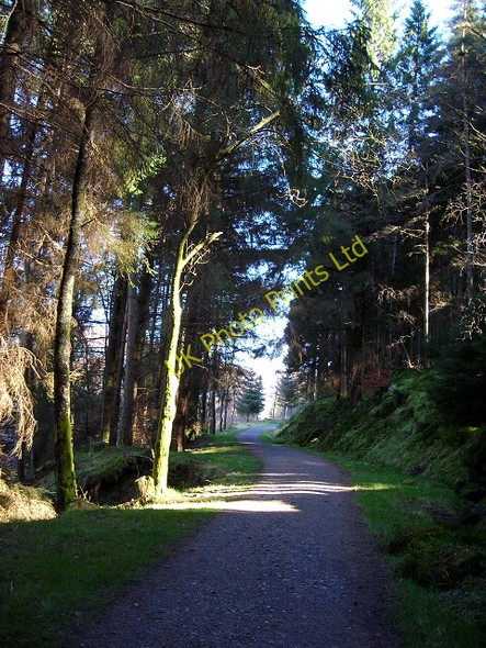 Photo 6"x4" Callander to Strathyre Cycleway Ardchullarie More c2007