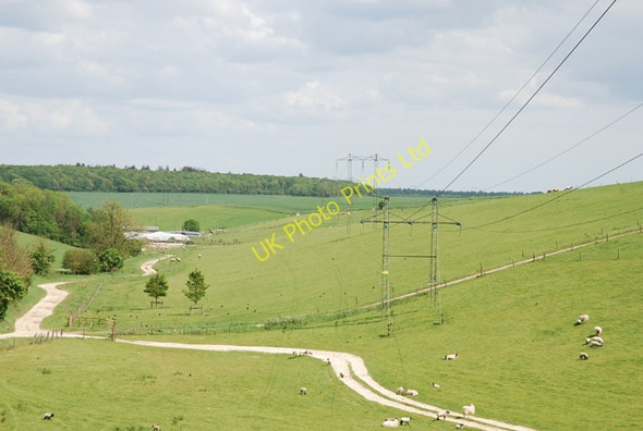 Photo 6"x4" East of South Down Hedge End\/ST8206 c2007