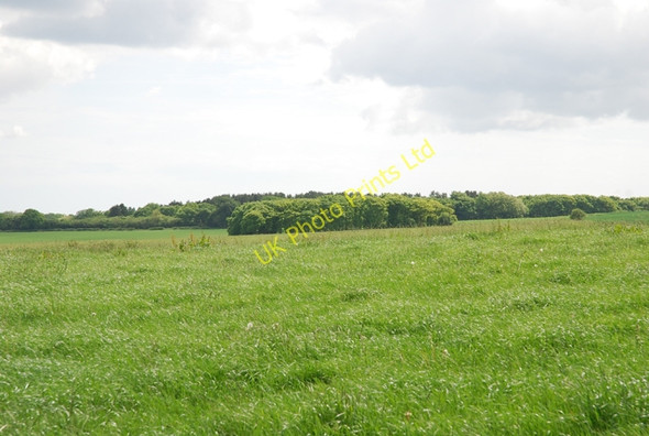 Photo 6"x4" View south across western part of South Down Ibberton c2007
