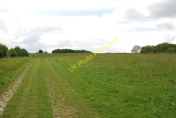 Photo 6"x4" View west across upper part of South Down Turnworth c2007