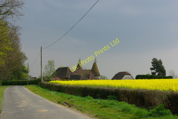 Photo 6"x4" Luckhurst Farm Haffenden Quarter c2007