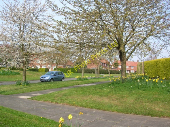 Photo 6"x4" Manor Drive Dunnington\/SE6652 c2007