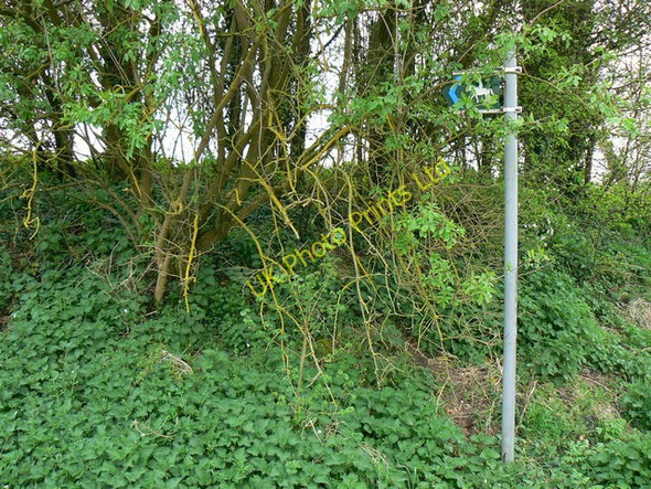 Photo 6"x4" Bridleway sign near Rudge Farm, Ramsbury Froxfield\/SU2968 c2007