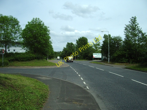 Photo 6"x4" Chain Caul Way Larches c2007
