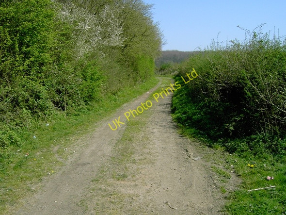 Photo 6"x4" Access To Chaul End Reservoir Chaul End c2007