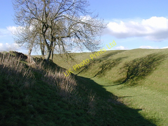 Photo 6"x4" The ditch at Avebury henge Avebury\/SU1069 c2004
