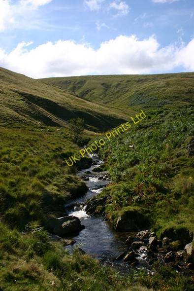 Photo 6"x4" Stream below Drygarn Fawr Rhiwnant\/SN8860 c2006