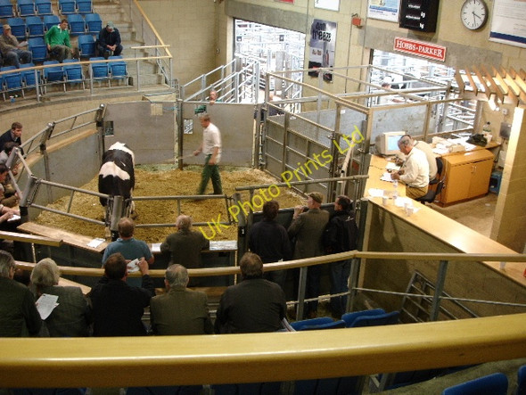 Photo 6"x4" The sale ring, last sale of the day Ashford\/TR0042 c2007