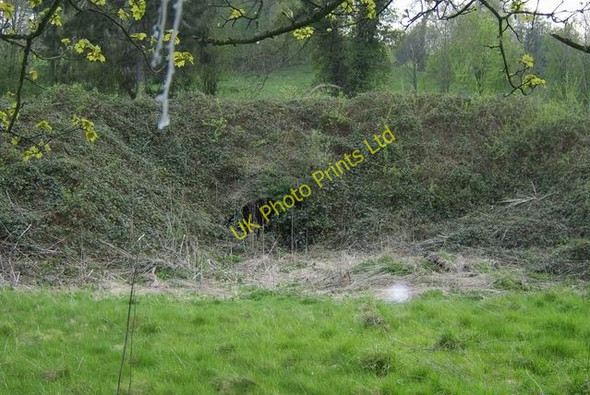 Photo 6"x4" Tunnel Under Montgomery Canal Refail\/SJ1900 c2007