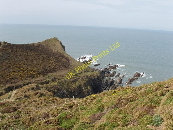 Photo 6"x4" Higher Sharpnose Point Crosstown\/SS2015 c2007