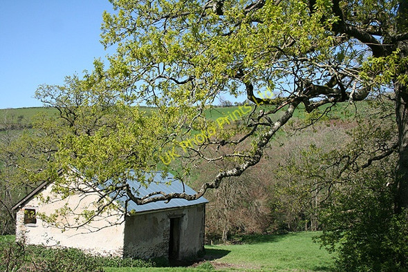 Photo 6"x4" Landkey: barn near Hall Farmhouse Goodleigh\/SS5934 c2007