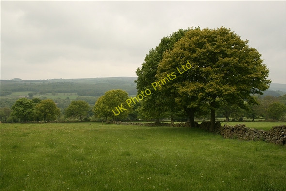 Photo 6"x4" Farmland, Nidderdale Low Laithe\/SE1963 c2007