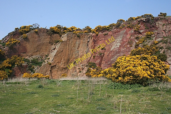 Photo 6"x4" Law Quarry North Berwick c2007
