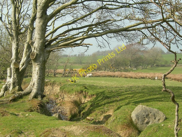 Photo 6"x4" Farmland View Heronsford c2007